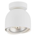 Plafon reflektor spot biały GARLAND 4710 ARGON