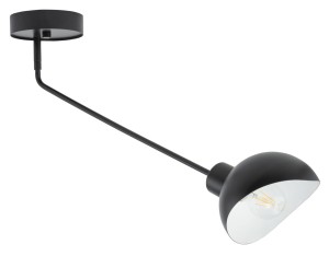 Lampa sufitowa na wysięgniku ROY 1 czarny